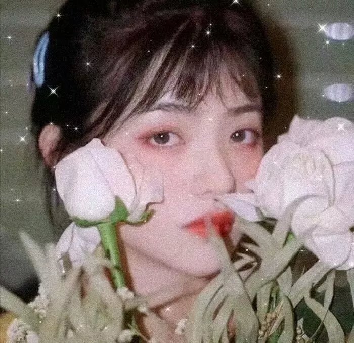 猫妖小杏